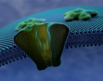 Flow Cytometry Services for Biomarker Detection