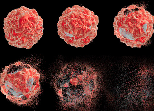  3D-SPHEROID-MODEL-BASED-TOXICOLOGY-AND-SAFTEY-STUDIES